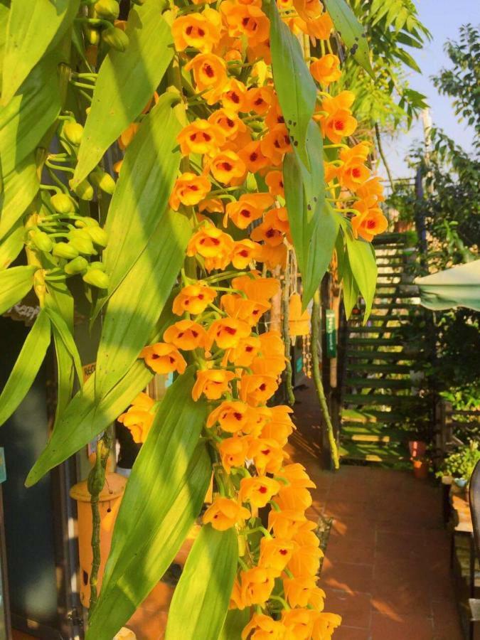 เกาเฮาส์ แอนด์ คอฟฟี่ Hotel ซาปา ภายนอก รูปภาพ